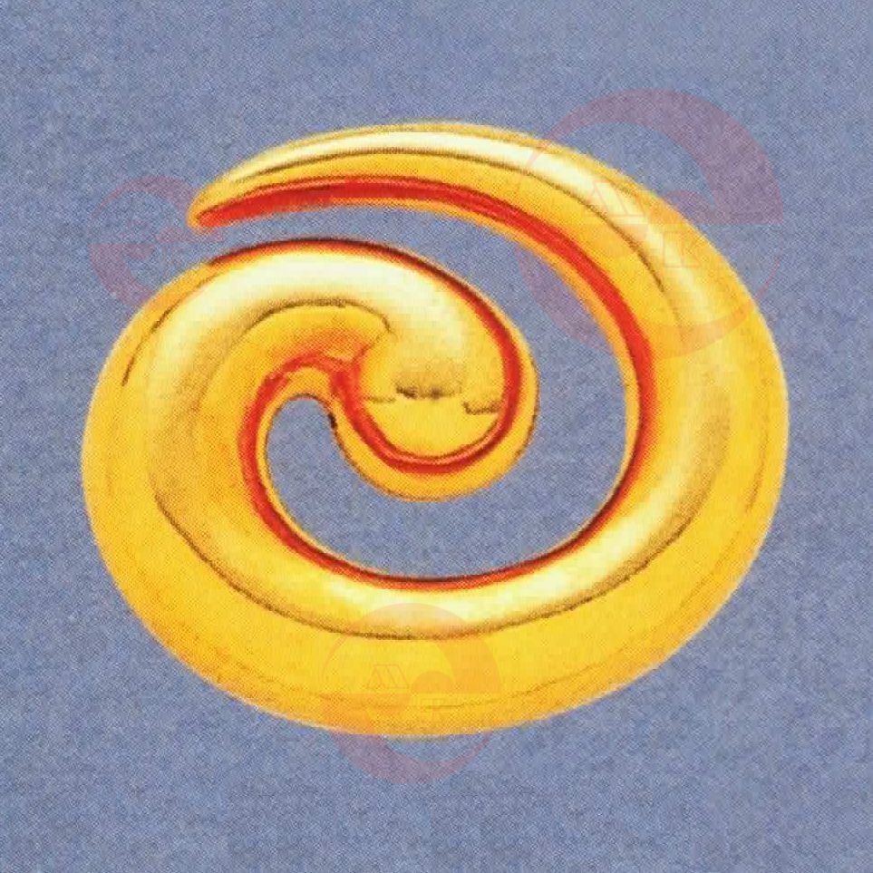 N31-935A N31-935A