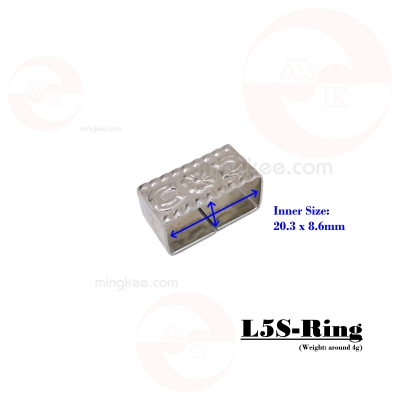 Zoom in L5S_front_scale(water)