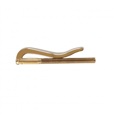 Zoom in P152BS(Pin)_70mm Hg Gold (NF)